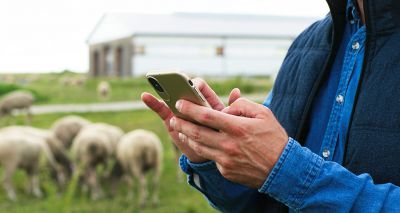 Waitrose to roll out app that tracks emotional wellbeing of farm animals